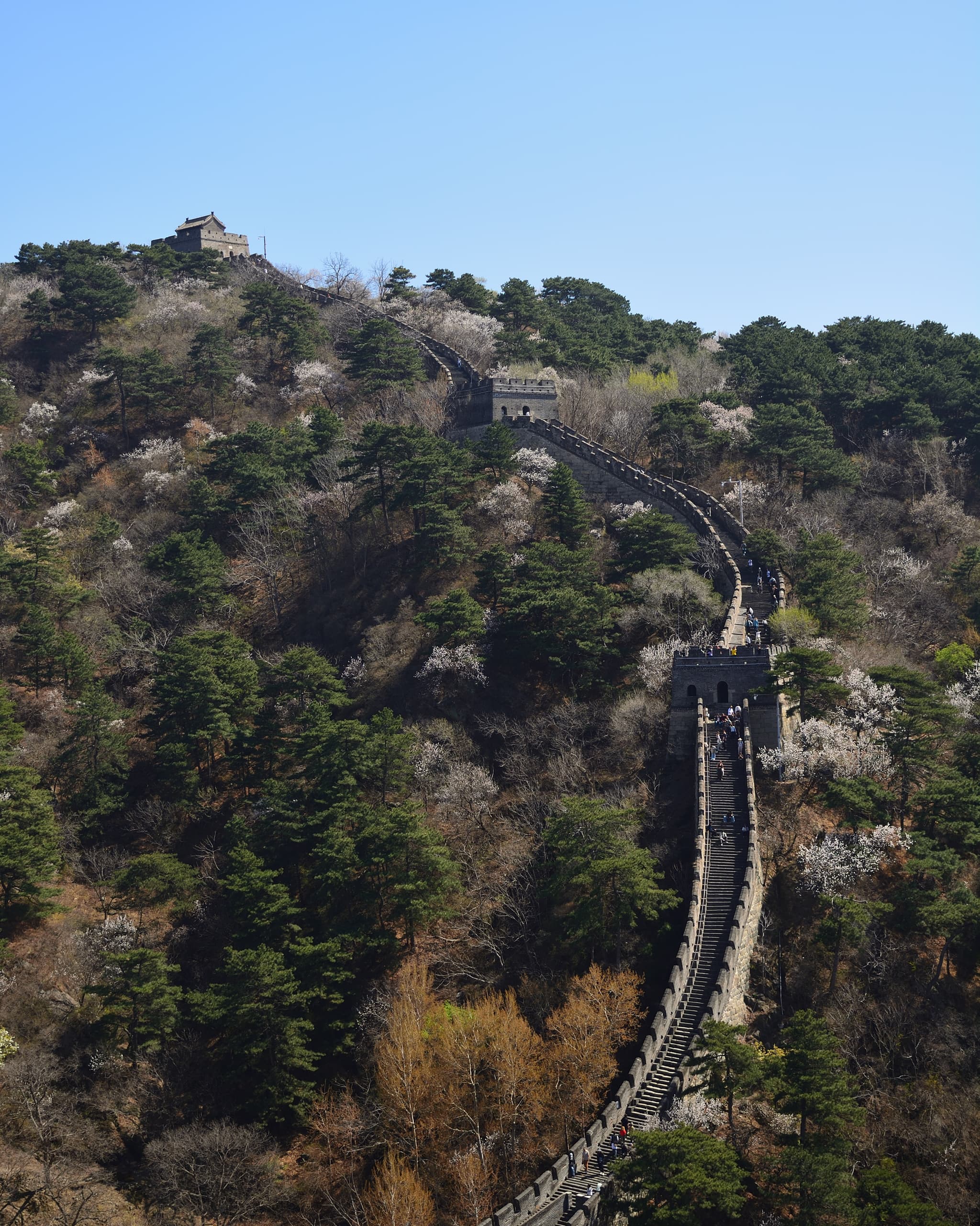 The Great Wall of China