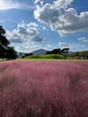 Gyeongju park
