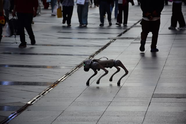 Robot dog