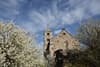 A chapel among blossoming trees