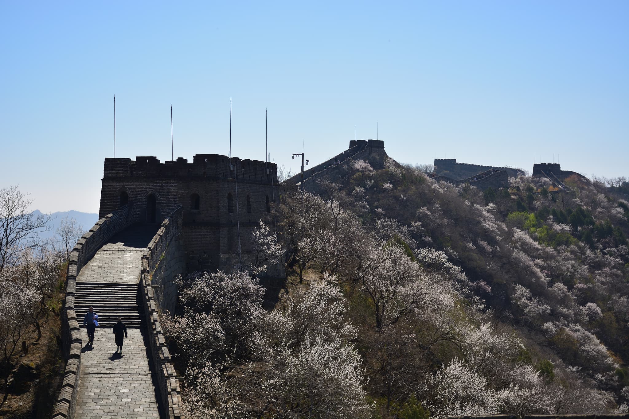 The Great Wall of China
