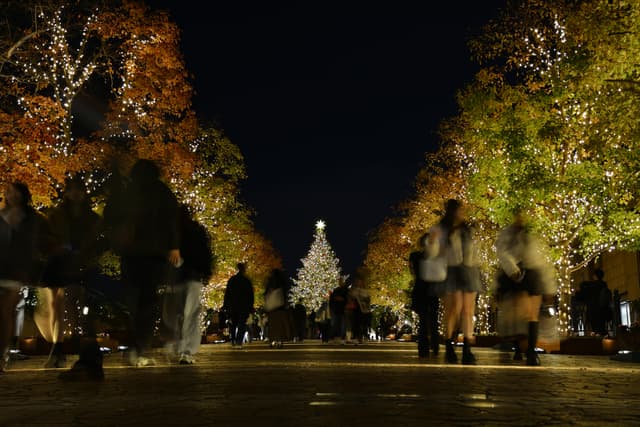 Early Christmas spirit in Tokyo