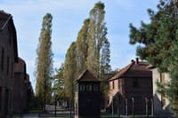 Auschwitz