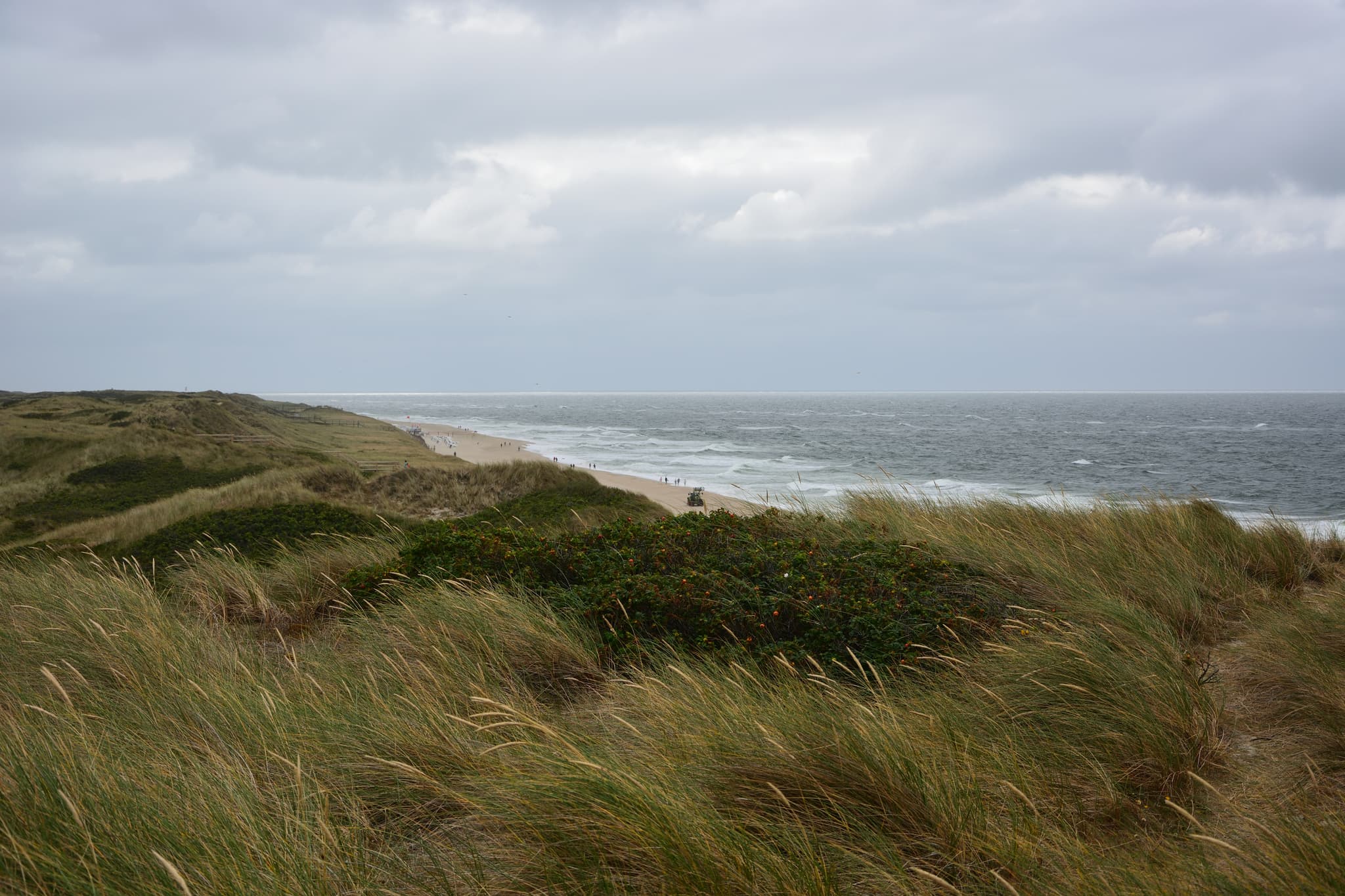 Sylt dunes