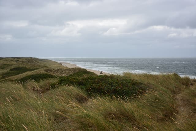 Sylt dunes