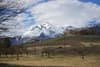 Vineyards of Sion