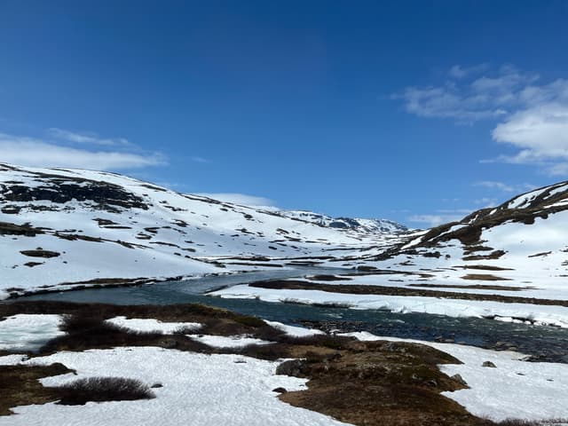 View from the Bergen train line