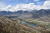Sion apricot orchards in blossom