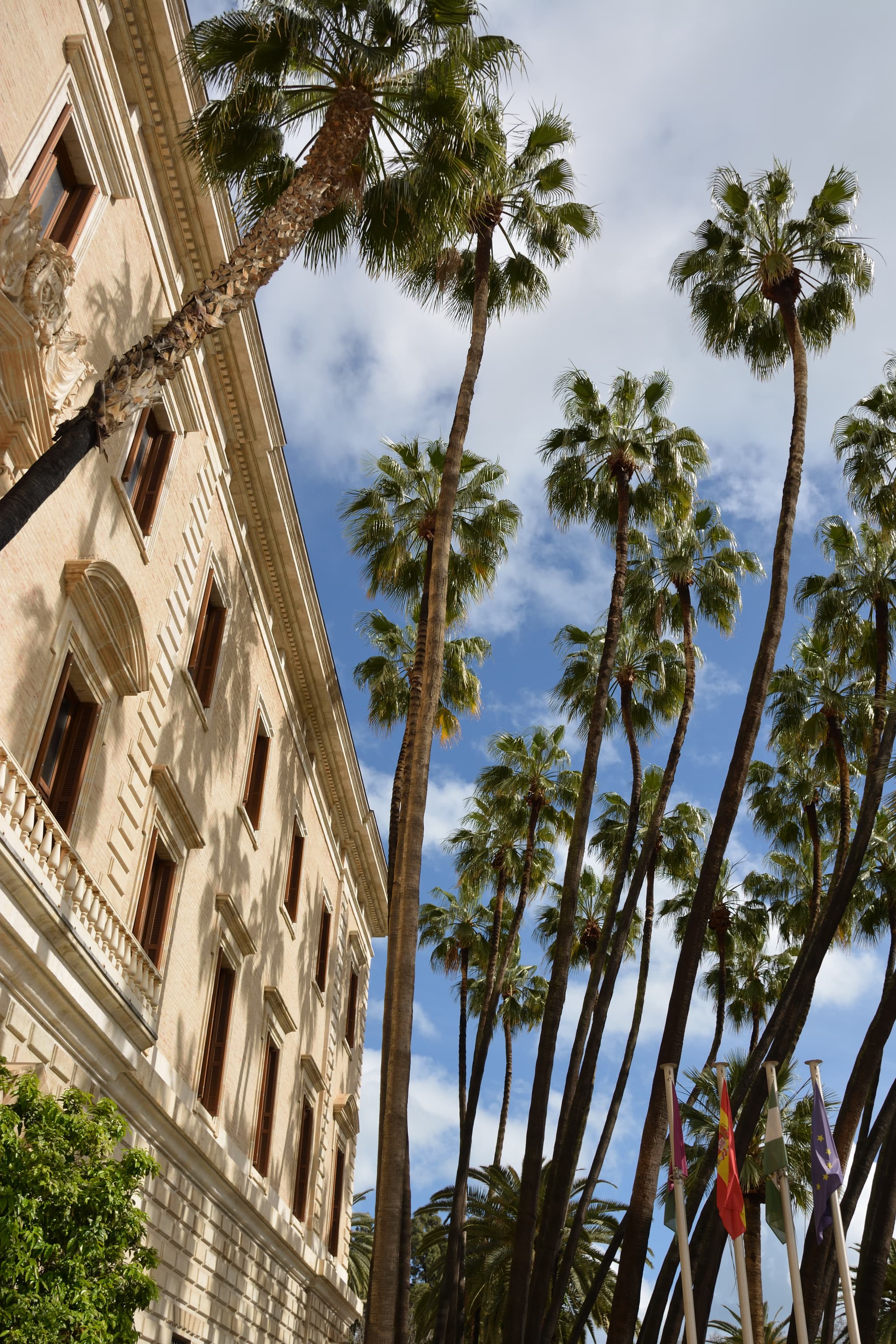 Palms in front of the Málaga museum