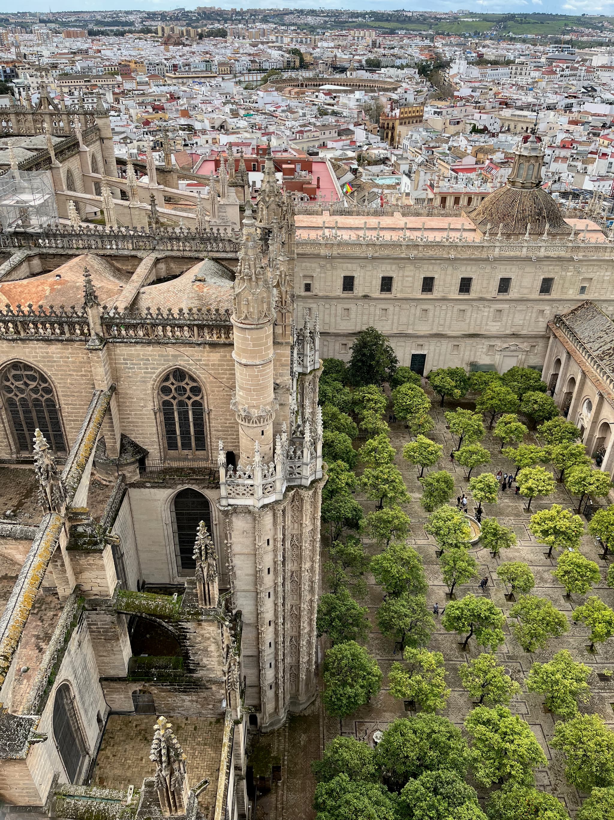 Sevilla Cathedral Orchard
