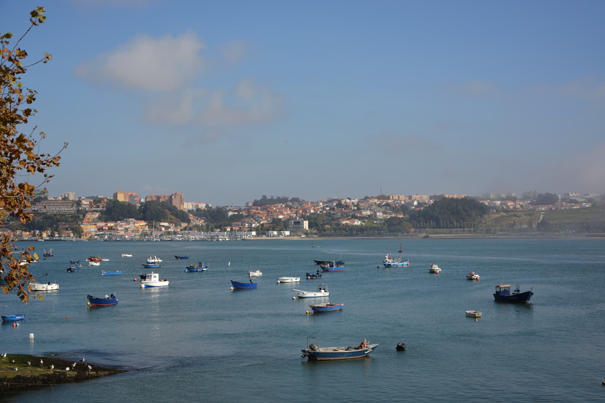 Porto coast