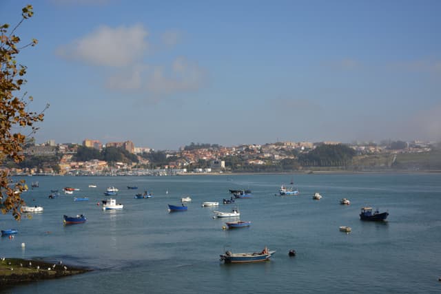 Porto coast