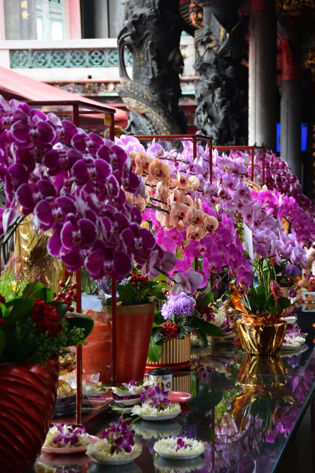 Orchids at a temple