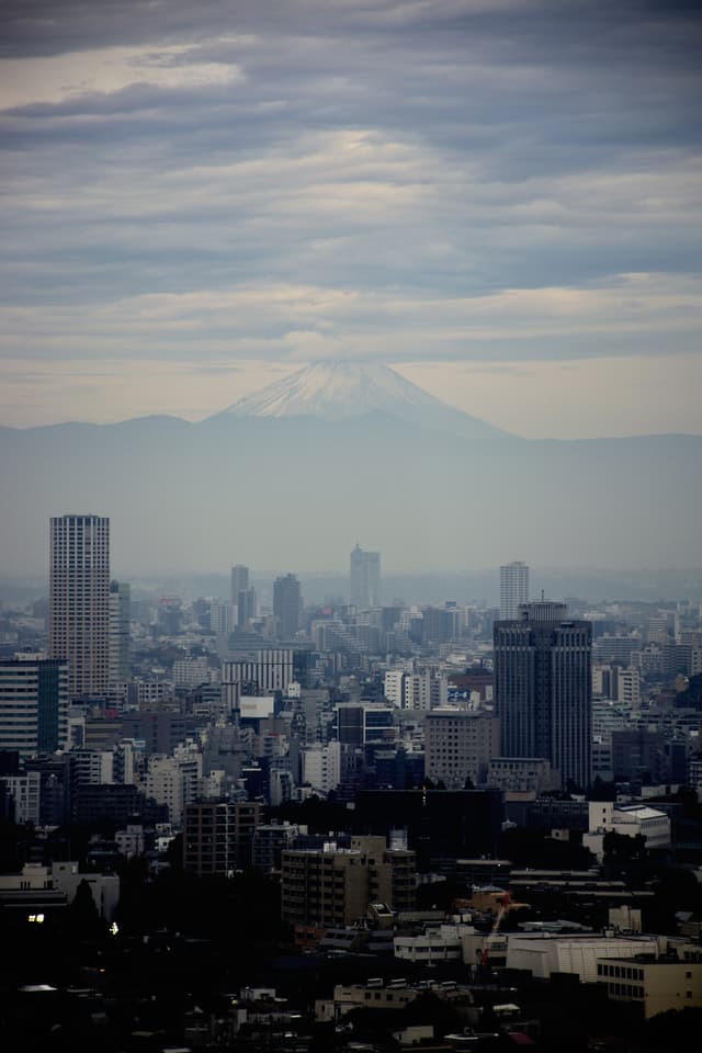 Tokyo skyline with Mount Fuji in the background