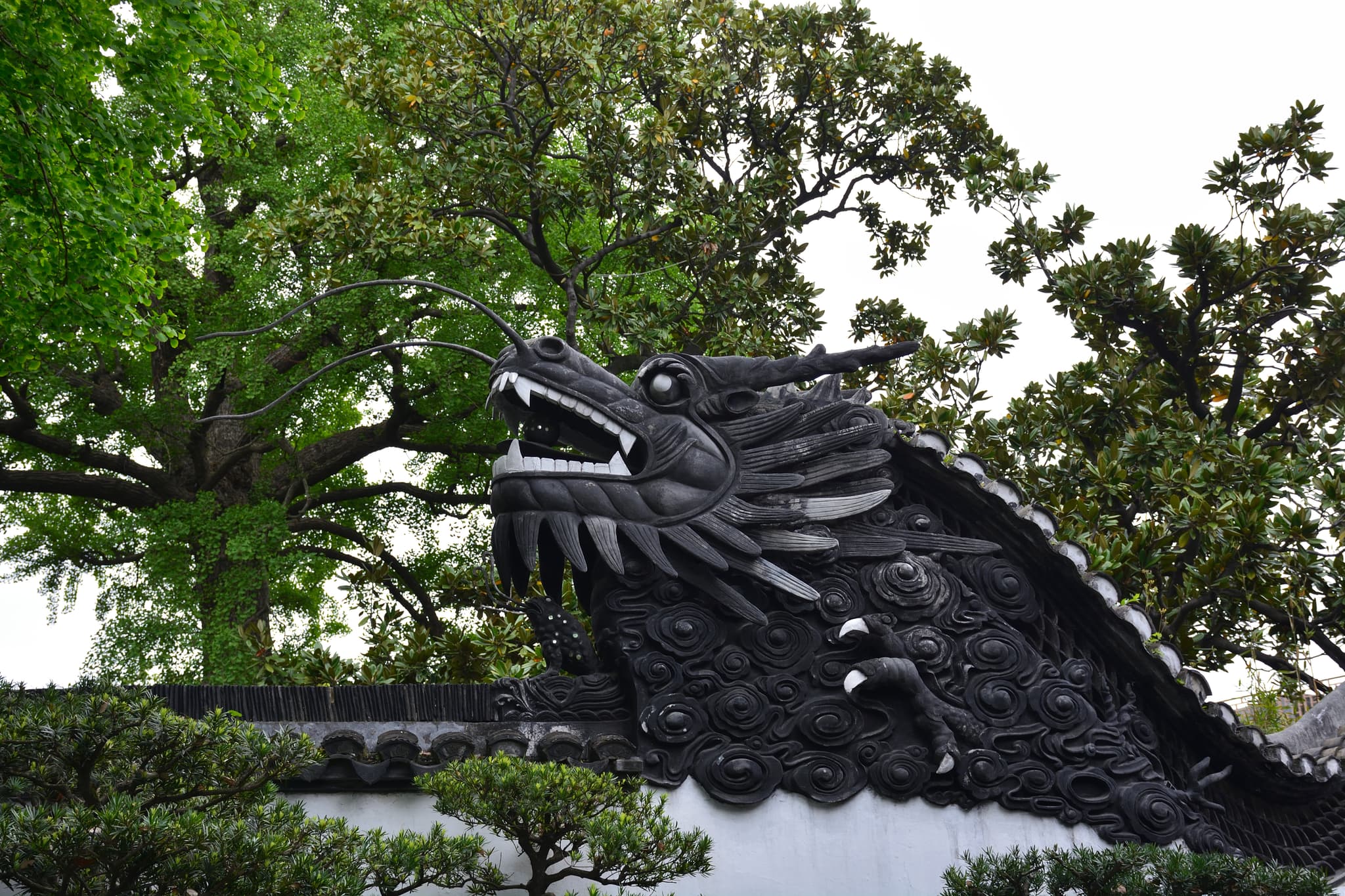 Dragon fence